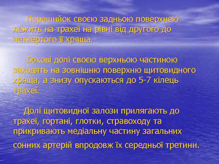  Перешийок своєю задньою поверхнею лежить на трахеї на рівні від другого до четвертого