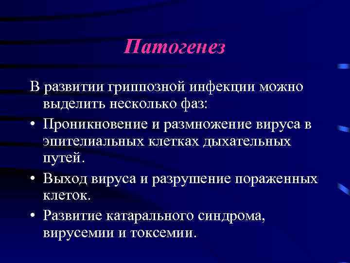 Патогенез В развитии гриппозной инфекции можно выделить несколько фаз: • Проникновение и размножение вируса
