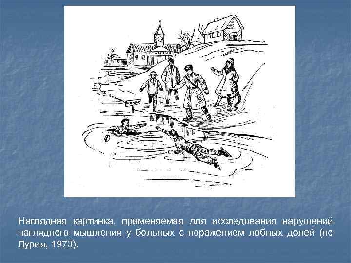 Наглядная картинка, применяемая для исследования нарушений наглядного мышления у больных с поражением лобных долей