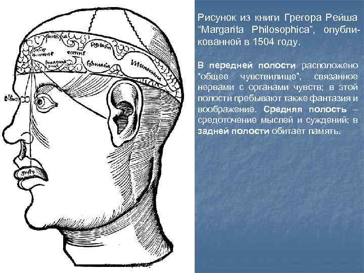 Рисунок из книги Грегора Рейша “Margarita Philosophica”, опубликованной в 1504 году. В передней полости