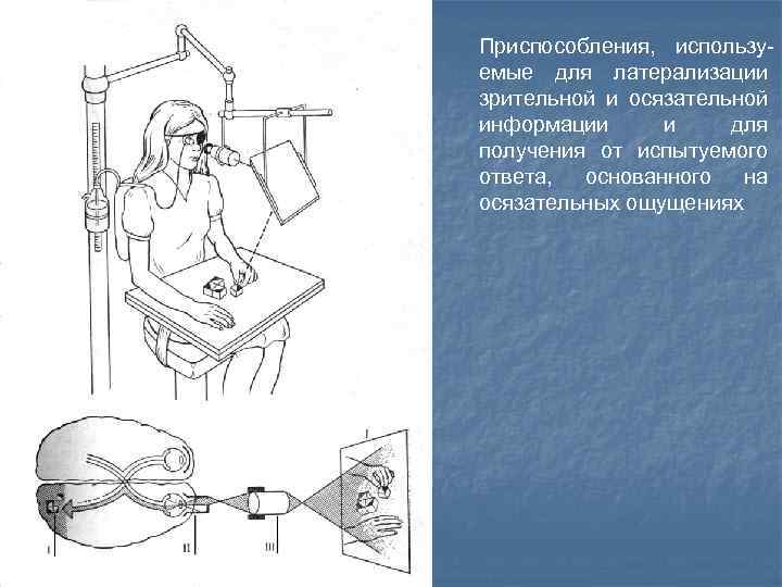 Приспособления, используемые для латерализации зрительной и осязательной информации и для получения от испытуемого ответа,