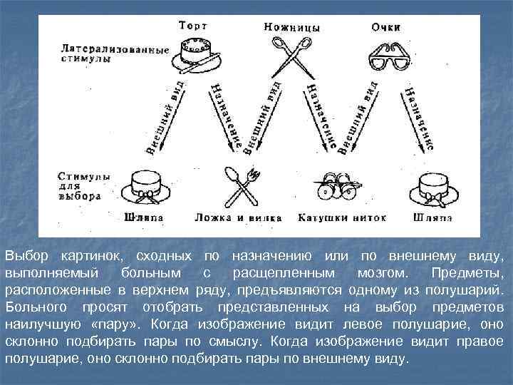 Выбор картинок, сходных по назначению или по внешнему виду, выполняемый больным с расщепленным мозгом.