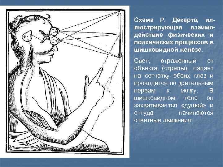 Схема Р. Декарта, иллюстрирующая взаимодействие физических и психических процессов в шишковидной железе. Свет, отраженный