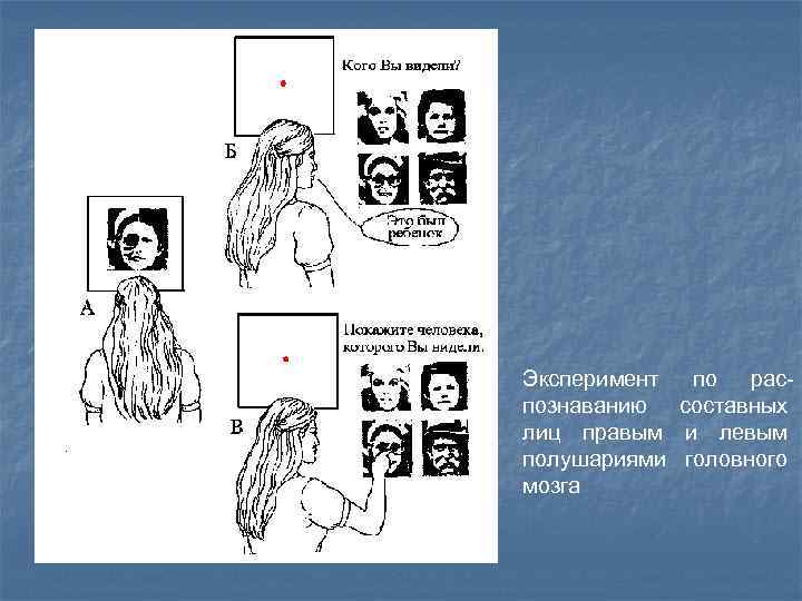 Эксперимент по распознаванию составных лиц правым и левым полушариями головного мозга 