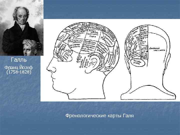 Френологическая карта галля