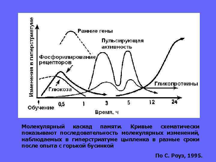 декларативная  недекларативная    priming 