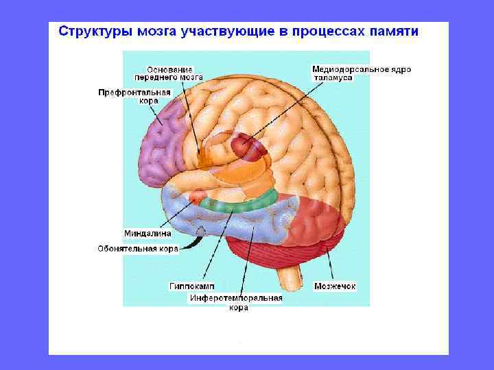 Зависимость време- ни, затрачиваемого на определение того, предъявлена ли буква в “нормальном” виде или
