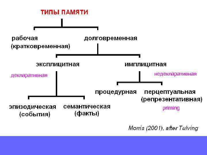 Эксперименты  со   ска- нированием памяти А. Зависимость времени реакции от 