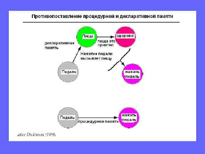 Вверху слева: гиппокамп как когнитивная карта. Вверху справа: клетки места в гиппокампе. Справа: кодирование