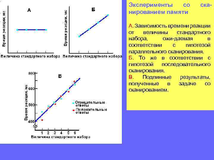 Его эйдотехника была доведена до совершенства, он мог запоминать совершенно бессмысленные для него слова.