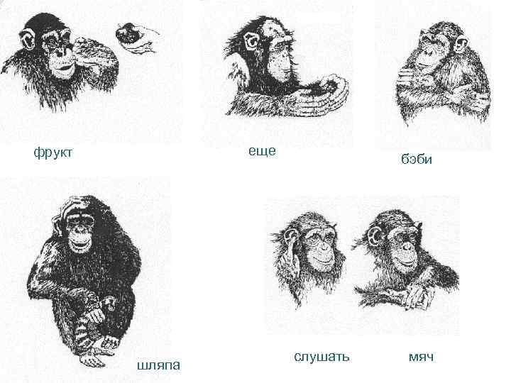 еще фрукт шляпа бэби слушать мяч 