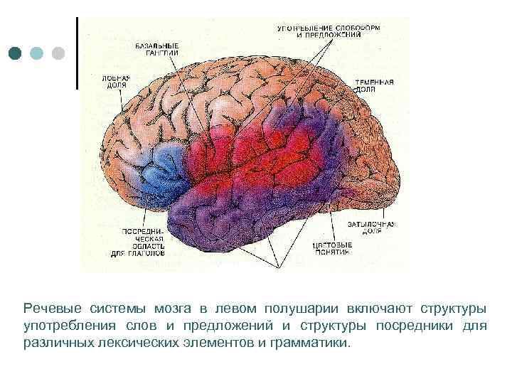 Сигнальная система головного мозга. Центры первой и второй сигнальных систем анатомия. 2 Сигнальная система анатомия. Центры 1 и 2 сигнальной системы. Центры 2 сигнальной системы анатомия.
