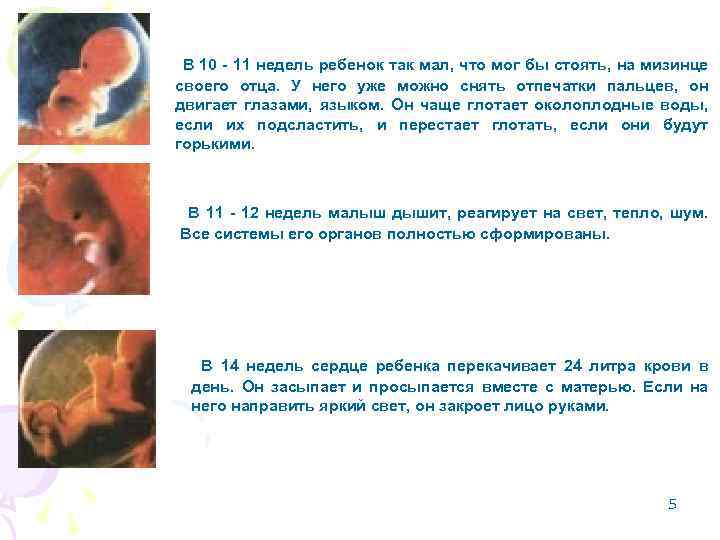 В 10 - 11 недель ребенок так мал, что мог бы стоять, на мизинце