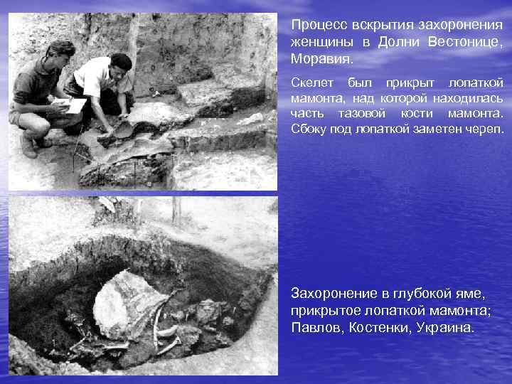 Процесс вскрытия захоронения женщины в Долни Вестонице, Моравия. Скелет был прикрыт лопаткой мамонта, над