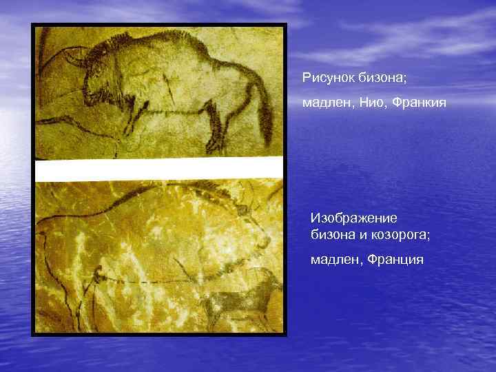 Рисунок бизона; мадлен, Нио, Франкия Изображение бизона и козорога; мадлен, Франция 