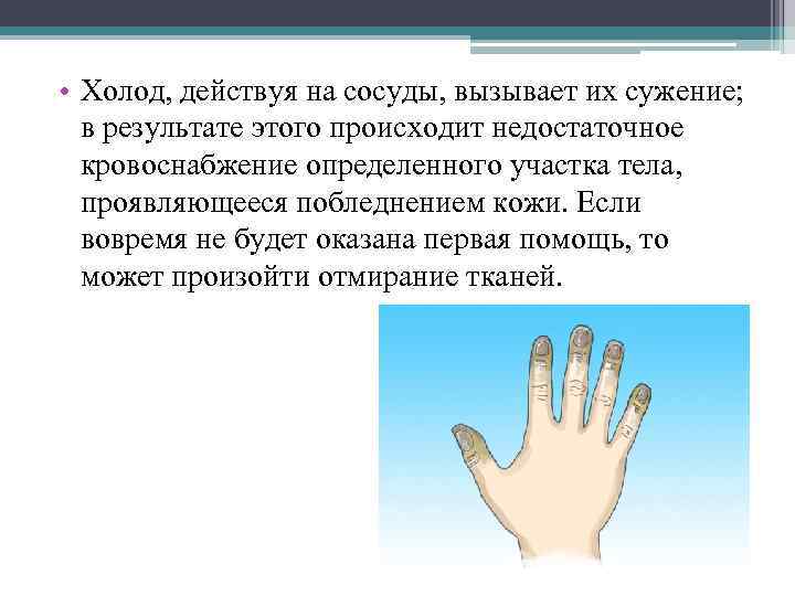  • Холод, действуя на сосуды, вызывает их сужение; в результате этого происходит недостаточное