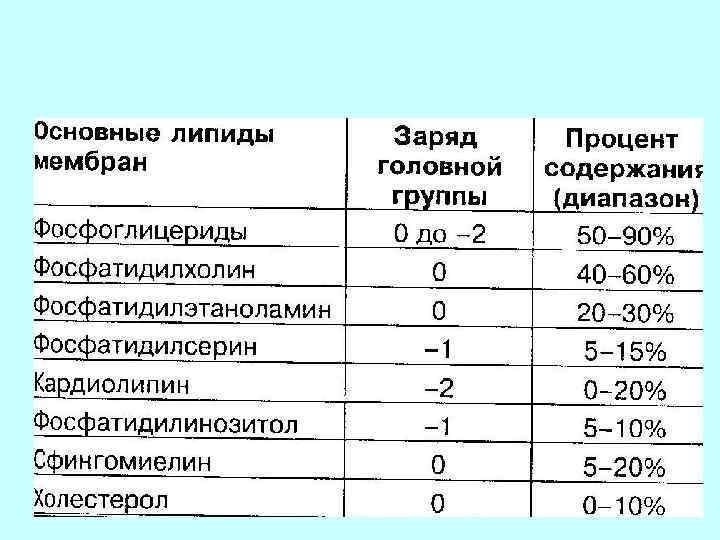 Строение молекулы 