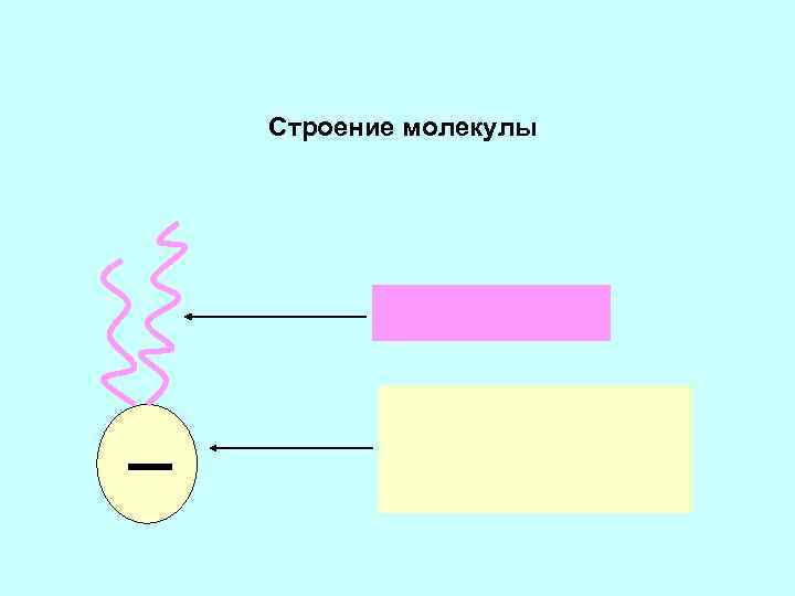 Строение молекулы 