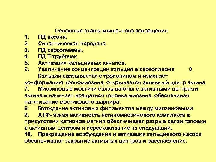 Основные этапы мышечного сокращения. 1. ПД аксона. 2. Синаптическая передача. 3. ПД сарколеммы. 4.