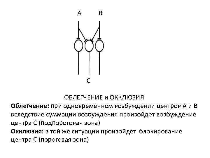 Центр возбуждения