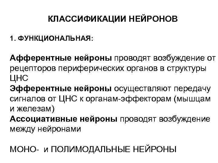   КЛАССИФИКАЦИИ НЕЙРОНОВ 1. ФУНКЦИОНАЛЬНАЯ:  Афферентные нейроны проводят возбуждение от рецепторов периферических