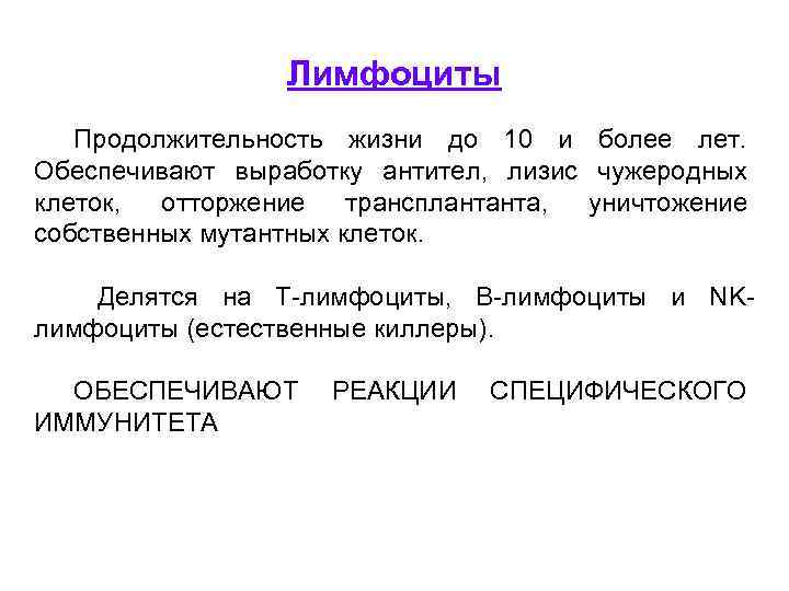Лимфоциты Продолжительность жизни до 10 и более лет. Обеспечивают выработку антител, лизис чужеродных клеток,