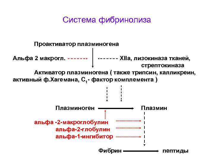 Схема фибринолиза физиология