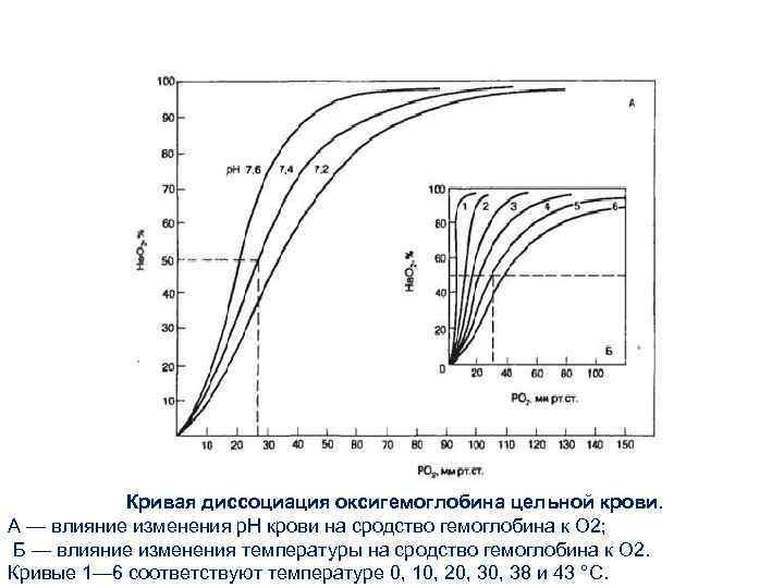 Кривая диссоциация оксигемоглобина цельной крови. А — влияние изменения р. Н крови на сродство