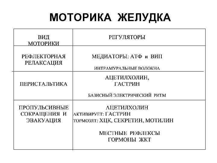 МОТОРИКА ЖЕЛУДКА 