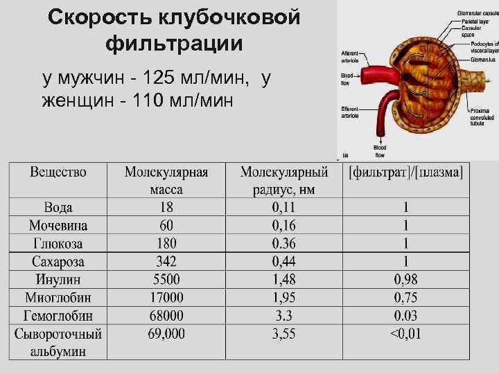 Продукт обмена веществ рыб