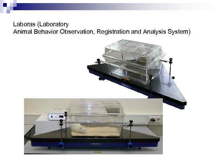 Laboras (Laboratory Animal Behavior Observation, Registration and Analysis System) 