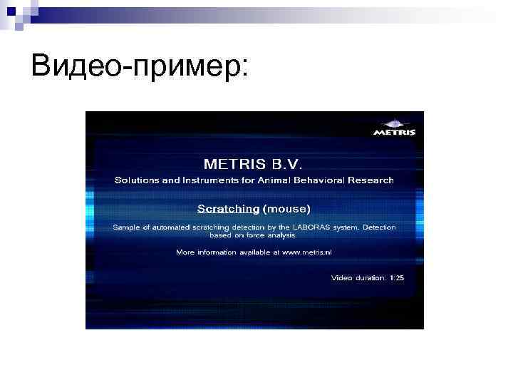 Видео-пример: 