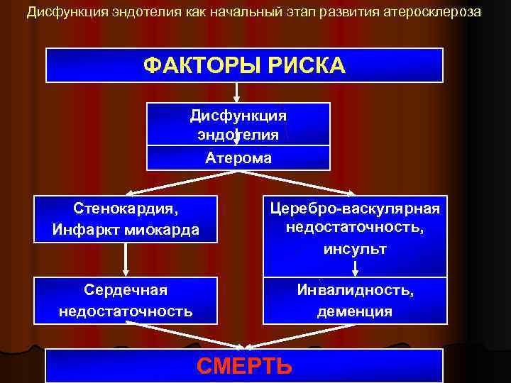 Дисфункция эндотелия как начальный этап развития атеросклероза ФАКТОРЫ РИСКА Дисфункция эндотелия Атерома Стенокардия, Инфаркт