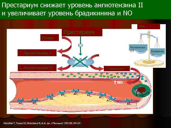 Престариум снижает уровень ангиотензина II и увеличивает уровень брадикинина и NO РААС Ренин Престариум
