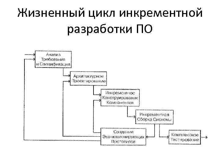 Жизненный цикл инкрементной разработки ПО 