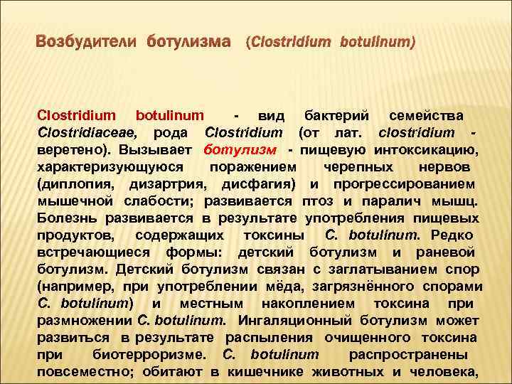 Возбудители ботулизма (Clostridium botulinum) Clostridium botulinum - вид бактерий семейства Clostridiaceae, рода Clostridium (от