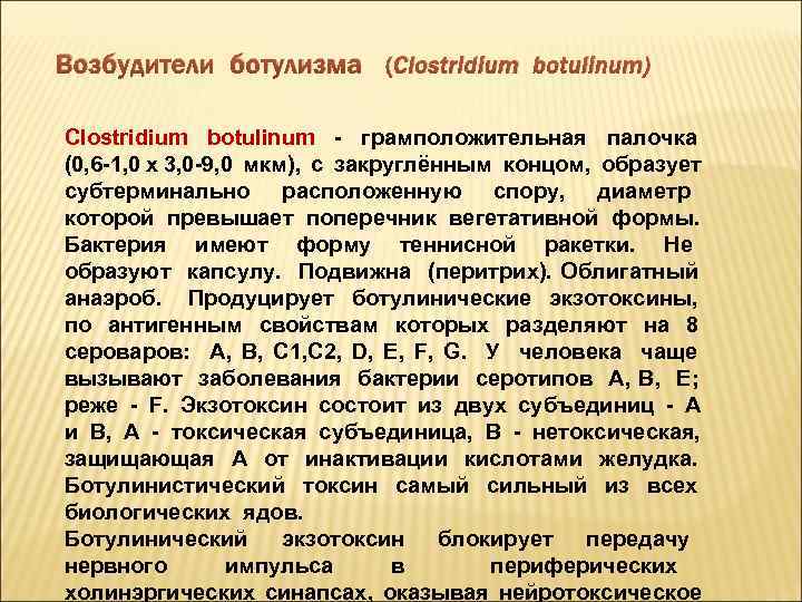 Возбудители ботулизма (Clostridium botulinum) Clostridium botulinum - грамположительная палочка (0, 6 -1, 0 х