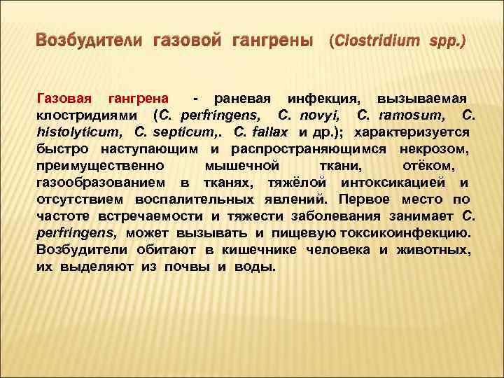 Возбудители газовой гангрены (Clostridium spp. ) Газовая гангрена - раневая инфекция, вызываемая клостридиями (C.