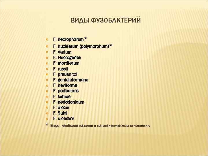 ВИДЫ ФУЗОБАКТЕРИЙ F. necrophorum* F. nucleatum (polymorphum)* F. Varium F. Necrogenes F. mortiferum F.