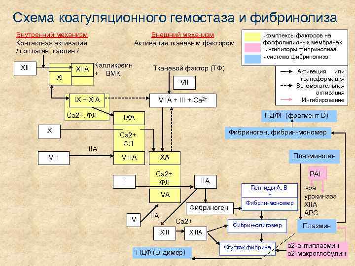 Схема коагуляционного гемостаза и фибринолиза Внутренний механизм Контактная активация / коллаген, каолин / XII