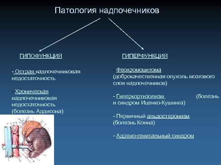 Презентация патология эндокринной системы