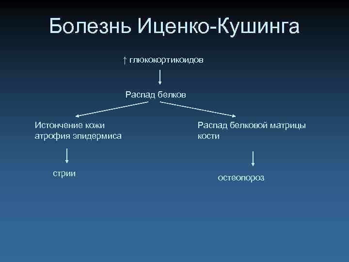Болезнь Иценко-Кушинга ↑ глюкокортикоидов Распад белков Истончение кожи атрофия эпидермиса стрии Распад белковой матрицы