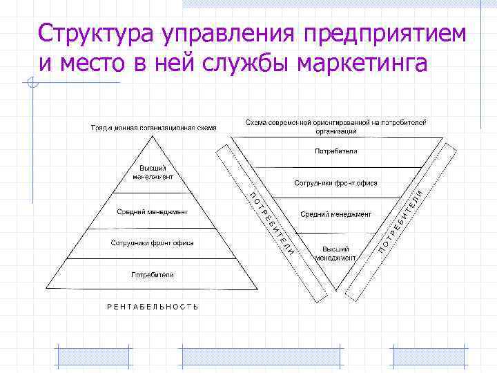 Структура управления предприятием и место в ней службы маркетинга 