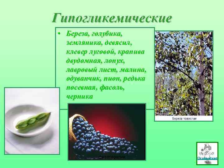 Гипогликемические • Береза, голубика, земляника, девясил, клевер луговой, крапива двудомная, лопух, лавровый лист, малина,