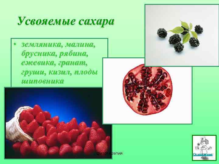 Усвояемые сахара • земляника, малина, брусника, рябина, ежевика, гранат, груши, кизил, плоды шиповника фитотерапия