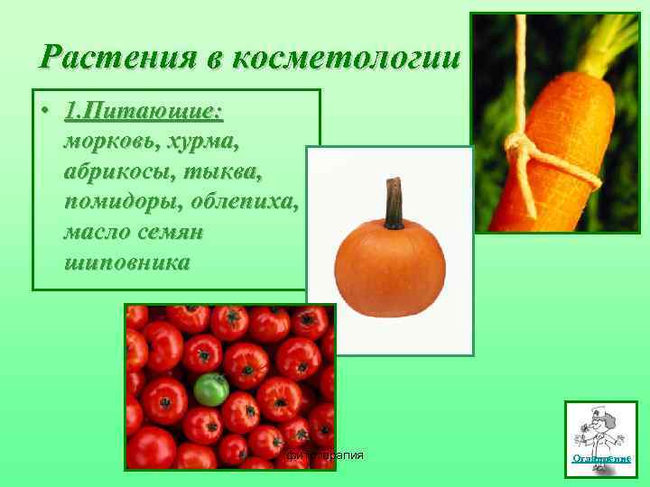 Растения в косметологии • 1. Питающие: морковь, хурма, абрикосы, тыква, помидоры, облепиха, масло семян