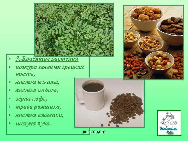  • 7. Красящие растения • кожура зеленых грецких орехов, • листья алканы, •