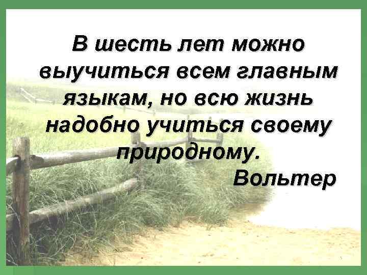 В шесть лет можно выучиться всем главным языкам, но всю жизнь надобно учиться своему