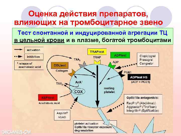 ЭКО-МЕД-С Оценка действия препаратов, влияющих на тромбоцитарное звено Тест спонтанной и индуцированной агрегации ТЦ
