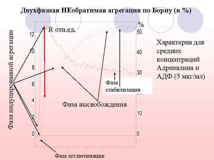 Фаза индуцированной агрегации Двухфазная НЕобратимая агрегация по Борну (в %) % R отн. ед.